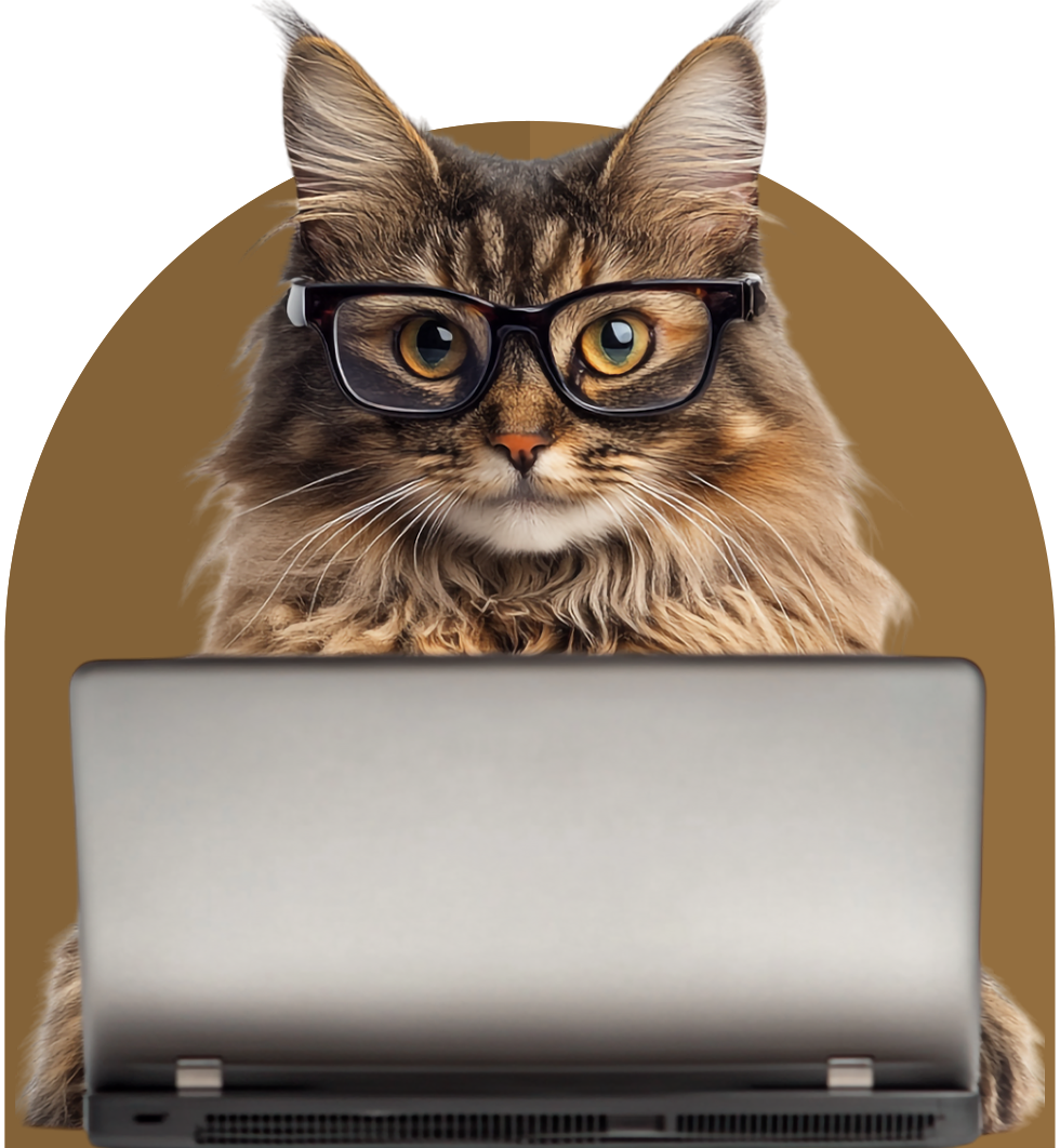 cat wearing glasses intently gazes at a laptop screen showcasing a curious and studious expression
