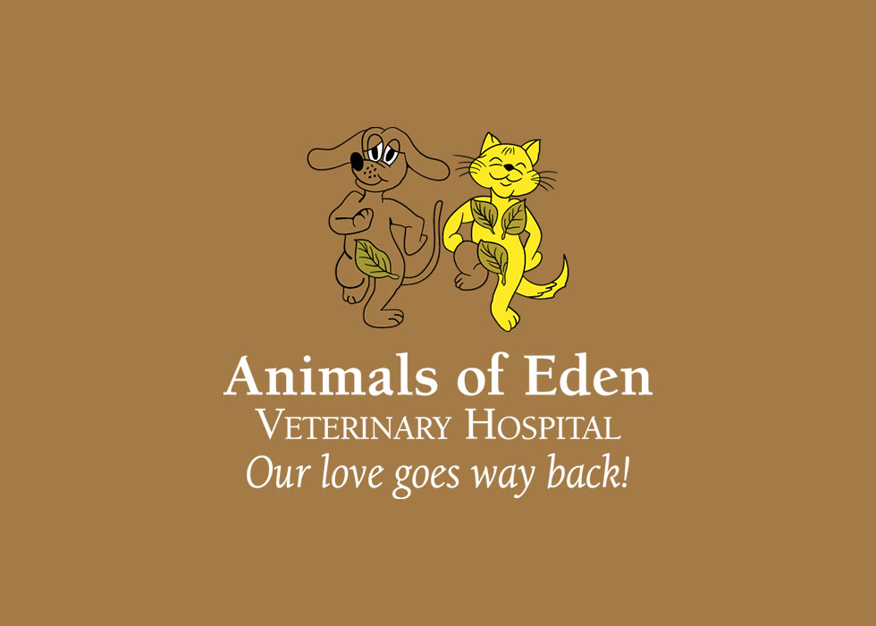 team placeholder image